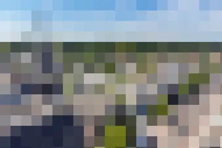 Nieuweweg 113 Veenendaal thumbnail 33