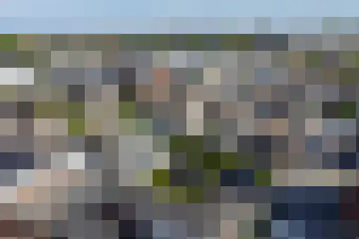 Nieuweweg 113 Veenendaal thumbnail 34