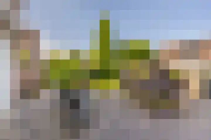 Nieuweweg 12 Hardinxveld-Giessendam thumbnail 13