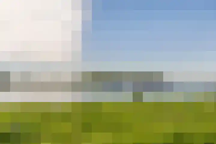 Nieuweweg 12 Hardinxveld-Giessendam thumbnail 35