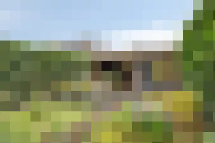 Nieuweweg 13 A Ederveen thumbnail 32