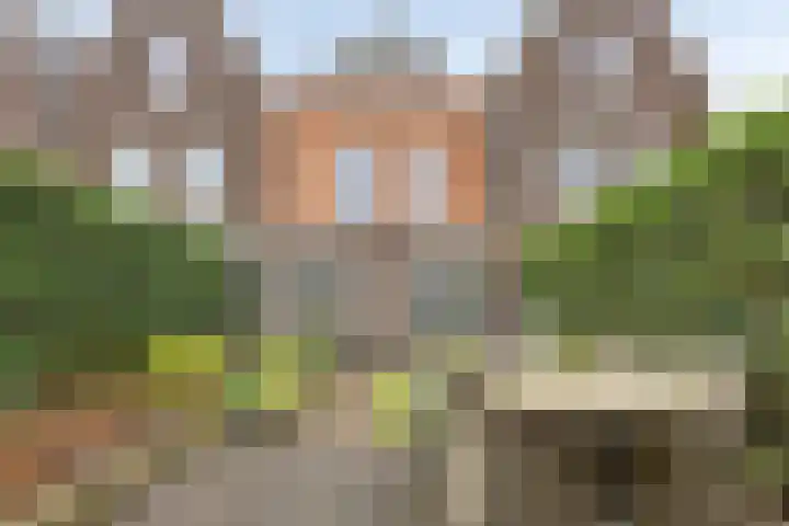 Nieuweweg 13 A Ederveen thumbnail 34