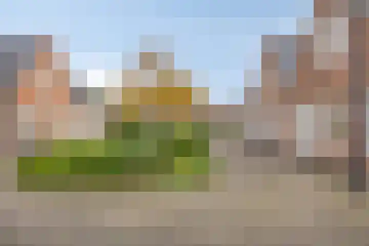 Nieuweweg 13 A Ederveen thumbnail 37