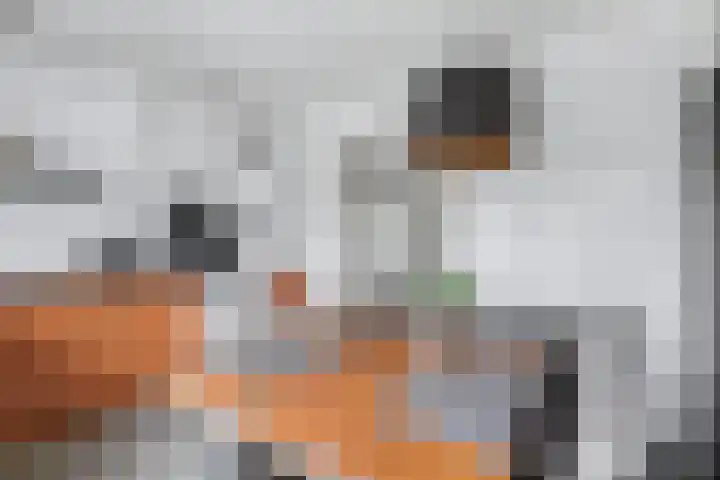 Nieuweweg 13 Strijensas thumbnail 12