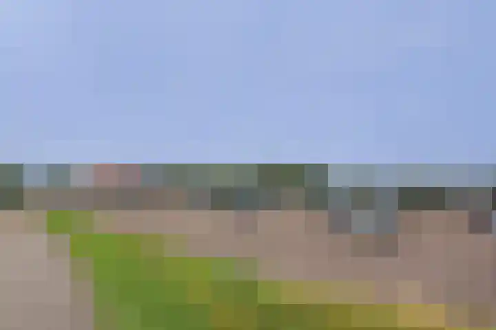 Nieuweweg 13 Strijensas thumbnail 29