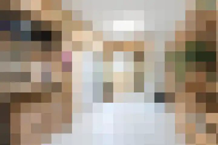 Nieuweweg 13 Wormer thumbnail 10