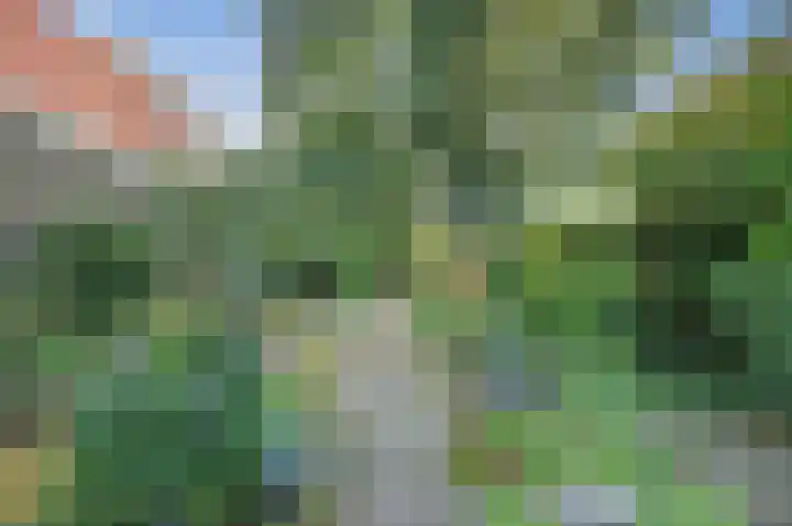 Nieuweweg 13 Wormer thumbnail 13