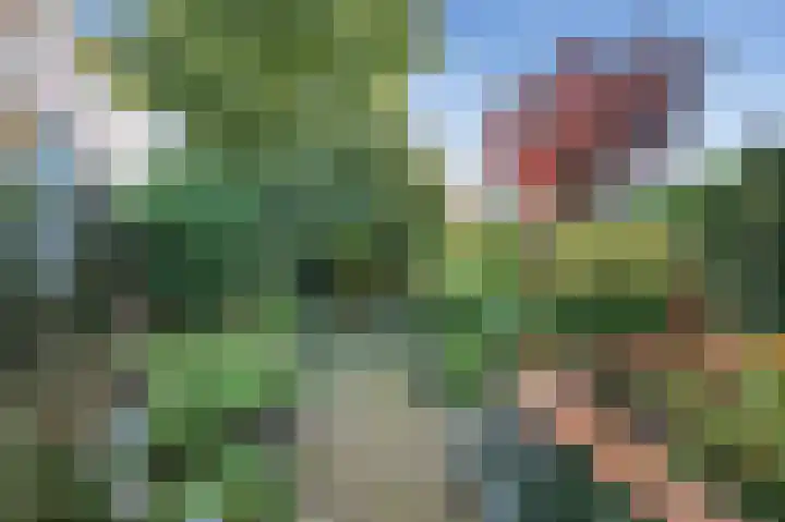 Nieuweweg 13 Wormer thumbnail 14