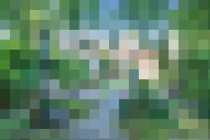 Nieuweweg 13 Wormer thumbnail 15