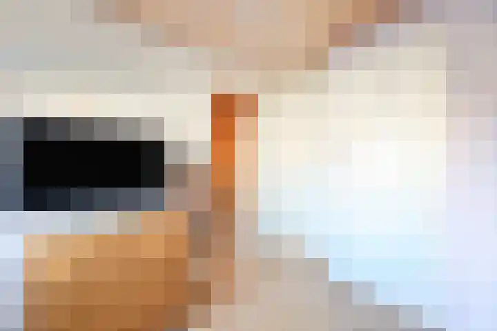 Nieuweweg 13 Wormer thumbnail 26