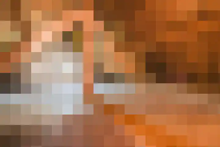 Nieuweweg 13 Wormer thumbnail 29