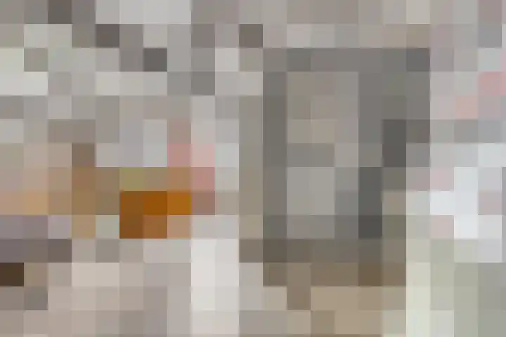 Nieuweweg 14 Melissant thumbnail 24