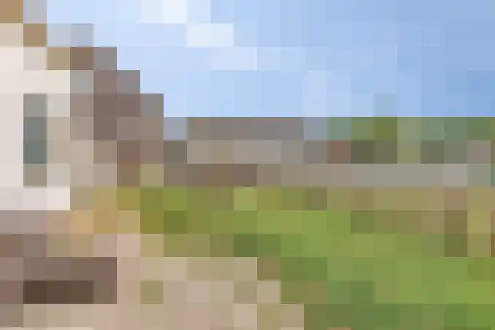 Nieuweweg 14 Melissant thumbnail 31