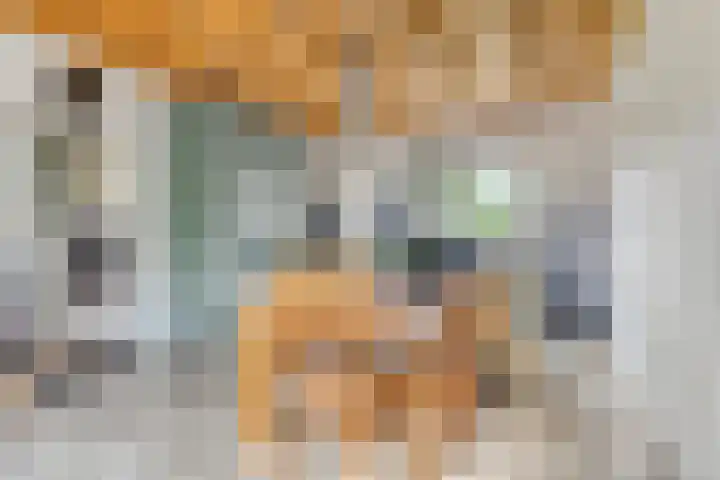 Nieuweweg 14 Melissant thumbnail 8
