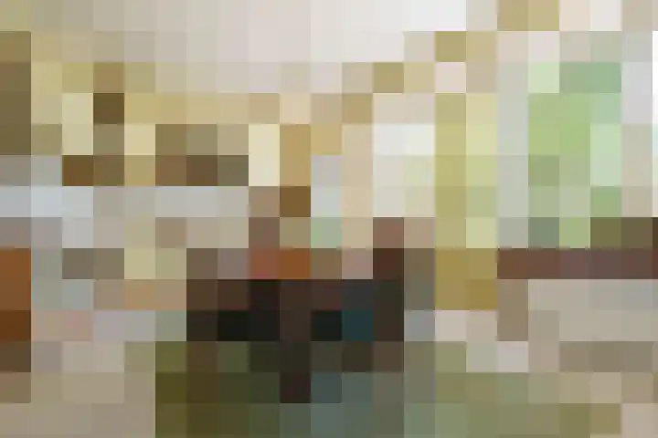 Nieuweweg 14 Renkum thumbnail 20