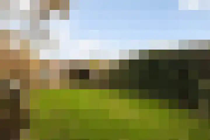 Nieuweweg 14 Ried thumbnail 28