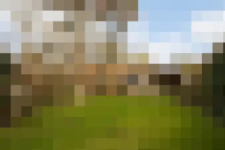 Nieuweweg 14 Ried thumbnail 30