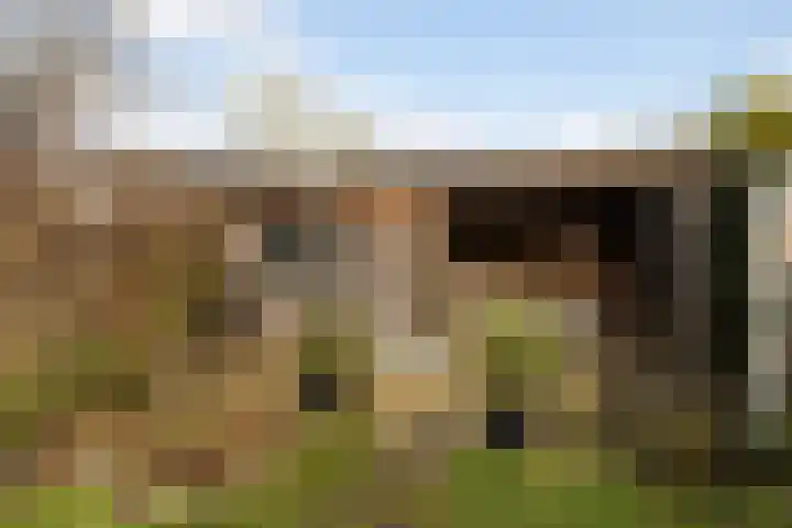 Nieuweweg 14 Ried thumbnail 32
