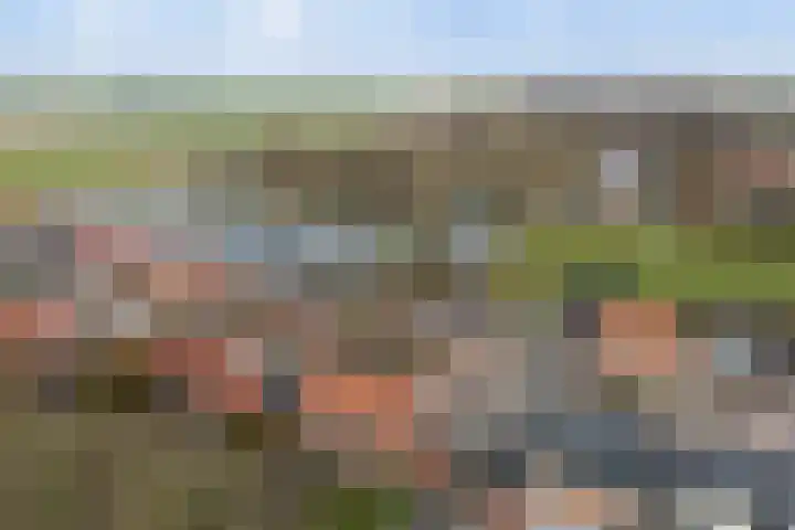 Nieuweweg 14 Ried thumbnail 34