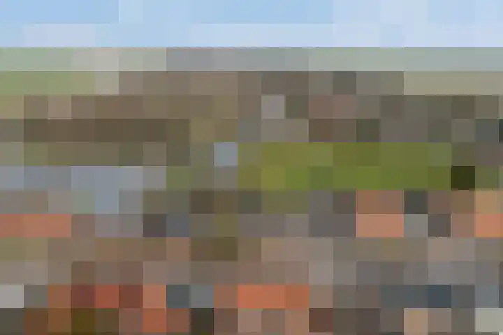 Nieuweweg 14 Ried thumbnail 36