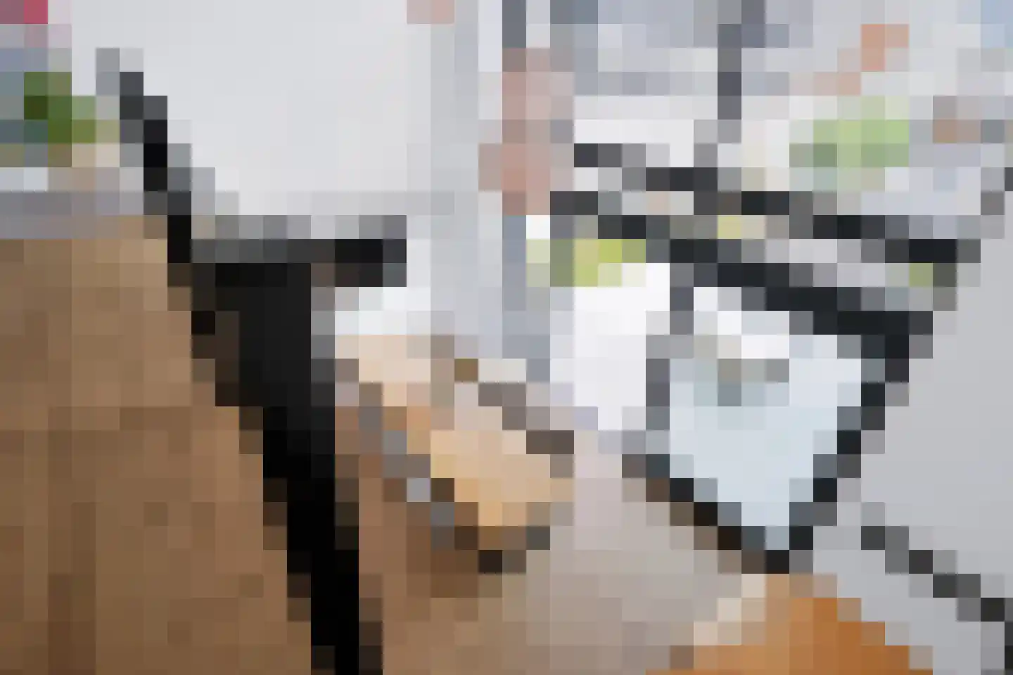 Nieuweweg 14 Valkenburg thumbnail 13
