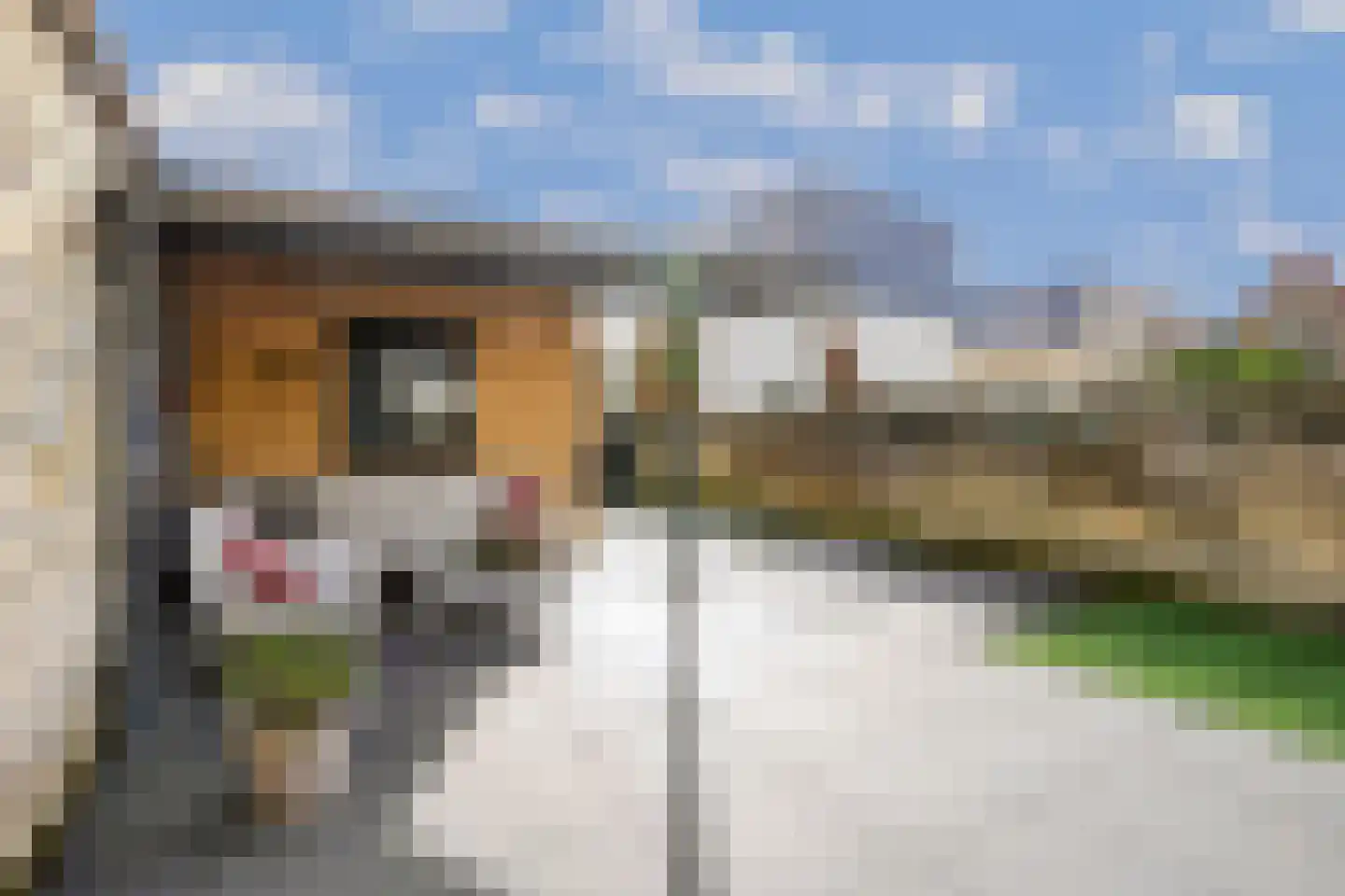 Nieuweweg 14 Valkenburg thumbnail 48