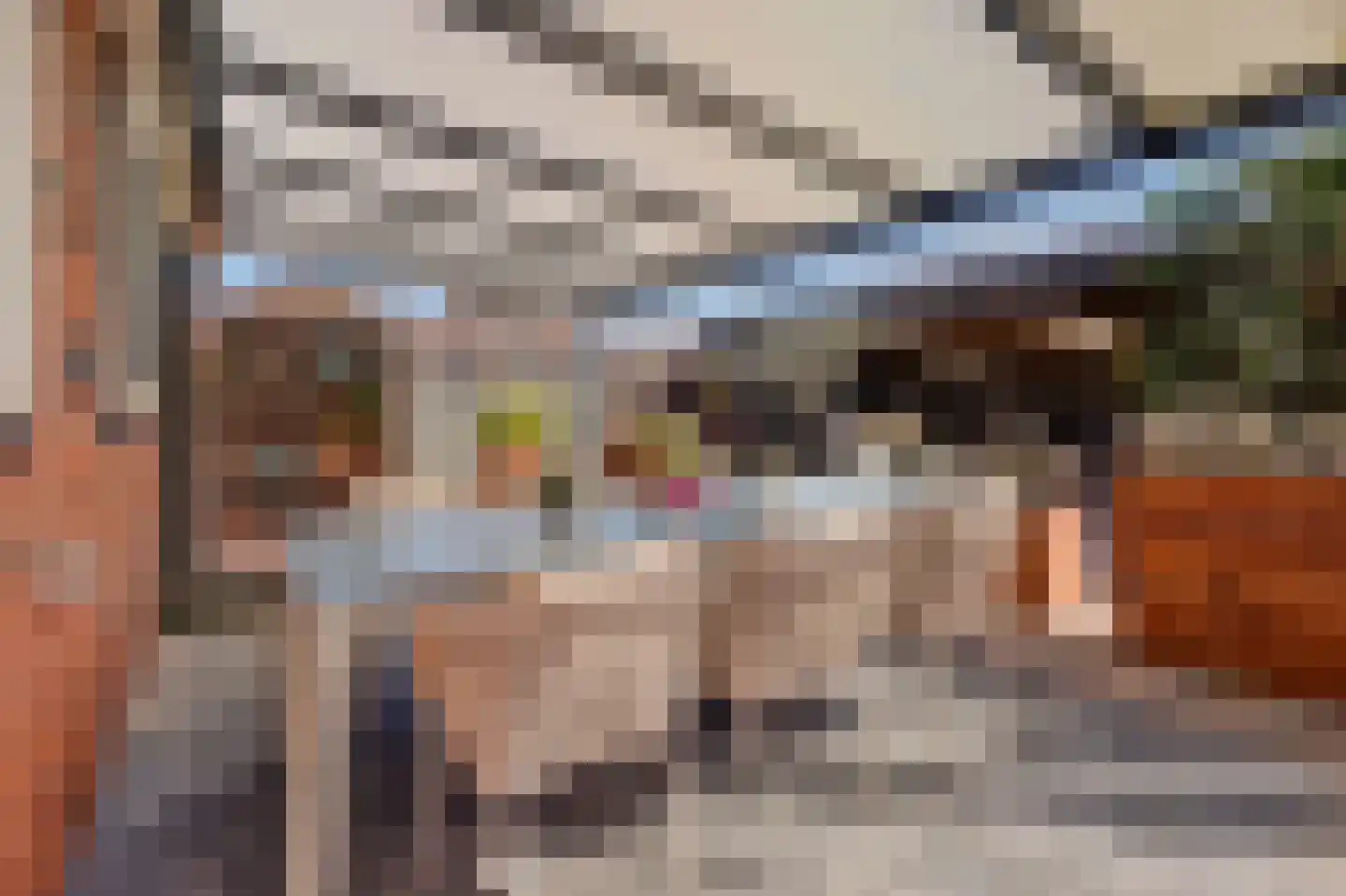 Nieuweweg 142 Doetinchem thumbnail 42