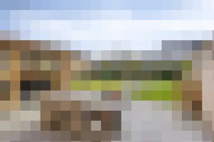 Nieuweweg 144 Veenendaal thumbnail 39