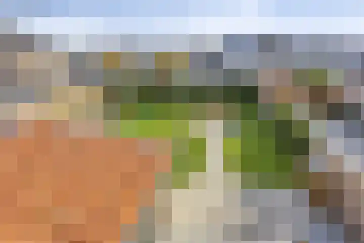 Nieuweweg 144 Veenendaal thumbnail 42