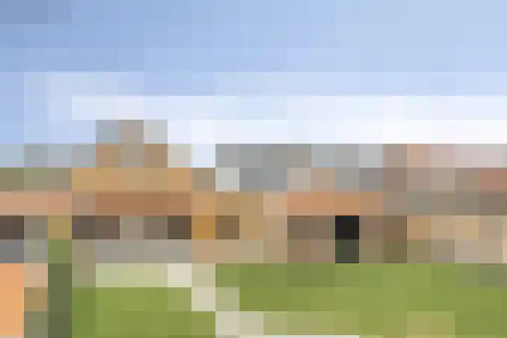Nieuweweg 144 Veenendaal thumbnail 45