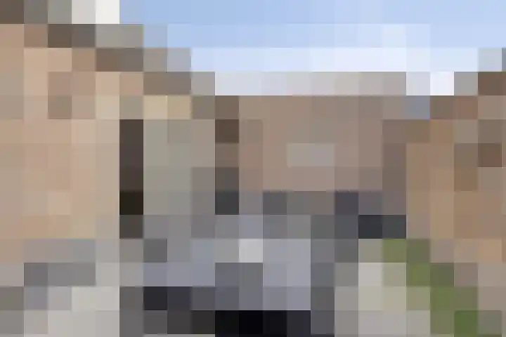 Nieuweweg 144 Veenendaal thumbnail 76