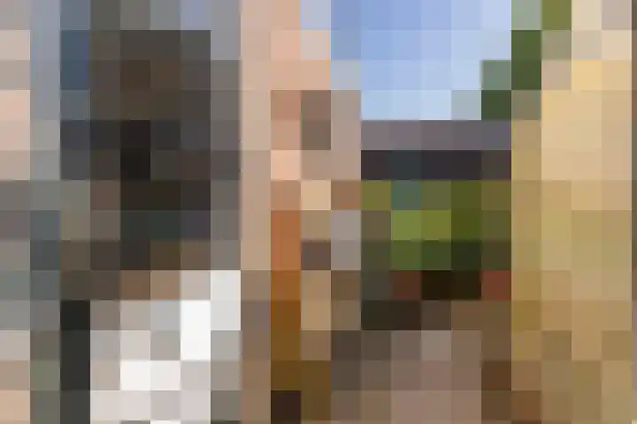 Nieuweweg 157 Veenendaal thumbnail 30