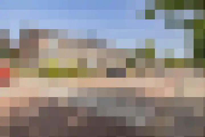 Nieuweweg 157 Veenendaal thumbnail 35