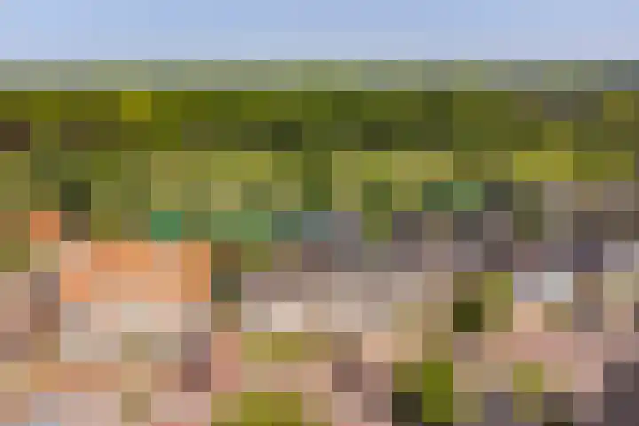 Nieuweweg 157 Veenendaal thumbnail 37