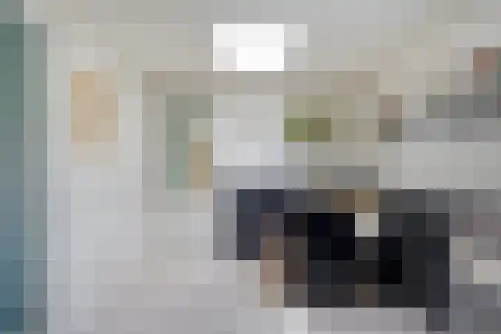 Nieuweweg 17 Melissant thumbnail 14