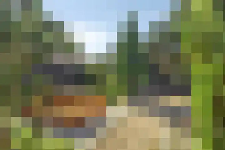Nieuweweg 17 Melissant thumbnail 31