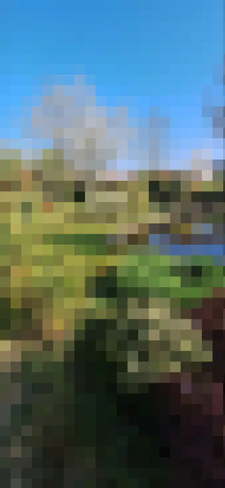 Nieuweweg 17 Melissant thumbnail 35