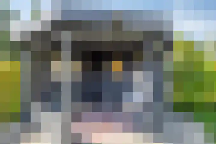 Nieuweweg 17 Melissant thumbnail 37