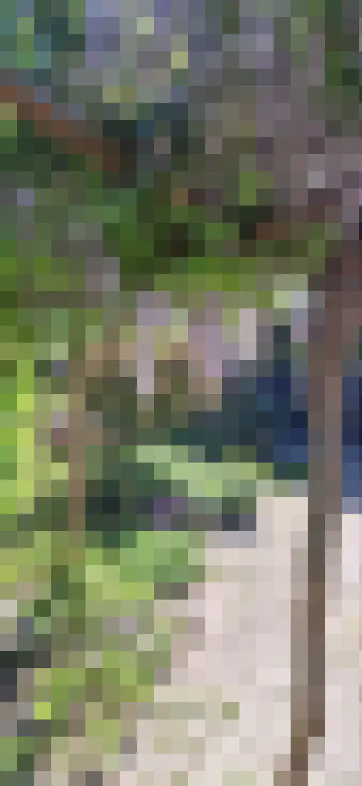 Nieuweweg 17 Melissant thumbnail 39