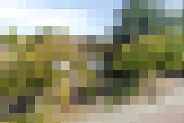 Nieuweweg 17 Melissant thumbnail 6