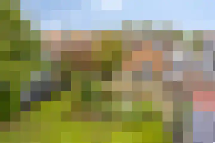 Nieuweweg 17 Siebengewald thumbnail 43