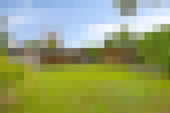 Nieuweweg 17 Siebengewald thumbnail 48