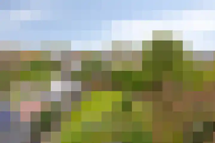 Nieuweweg 17 Siebengewald thumbnail 50