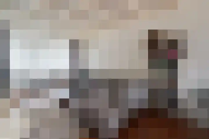 Nieuweweg 17 Soest thumbnail 4