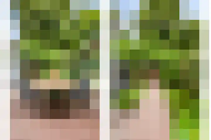 Nieuweweg 18 Hulst thumbnail 35