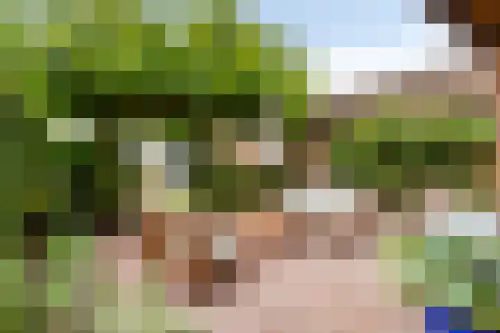 Nieuweweg 18 Hulst thumbnail 5