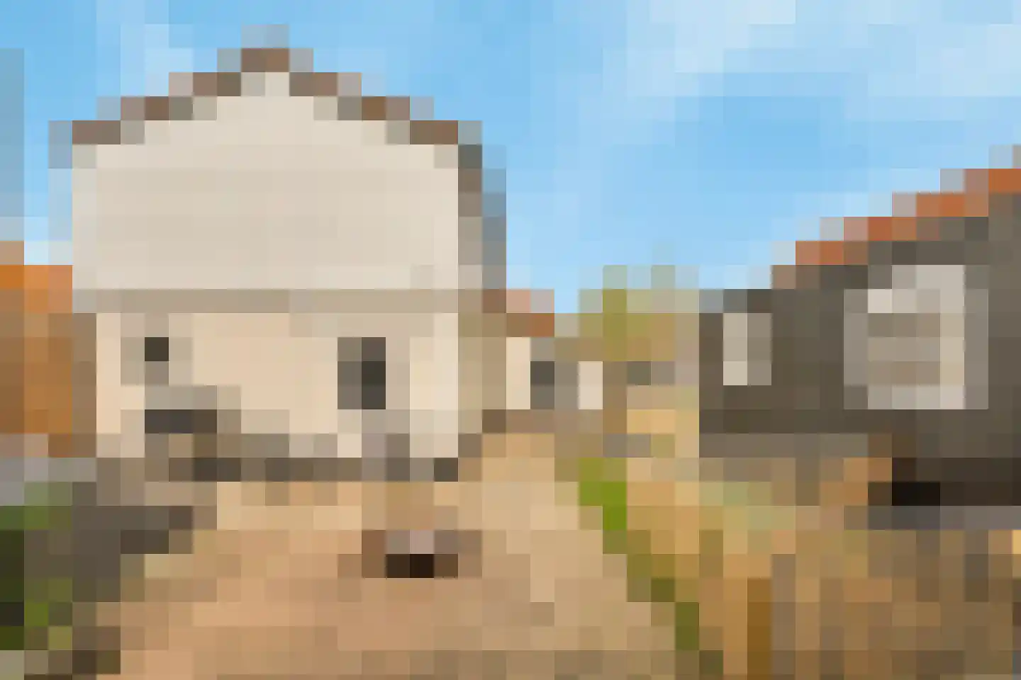Nieuweweg 18 Strijensas thumbnail 4