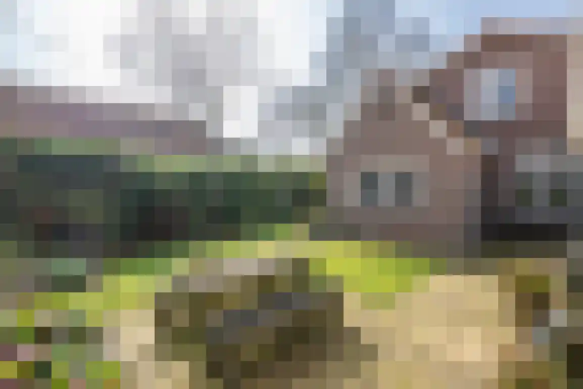 Nieuweweg 19 Melissant thumbnail 37