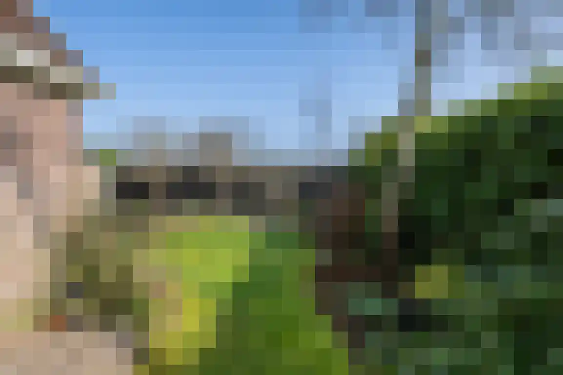 Nieuweweg 19 Melissant thumbnail 39
