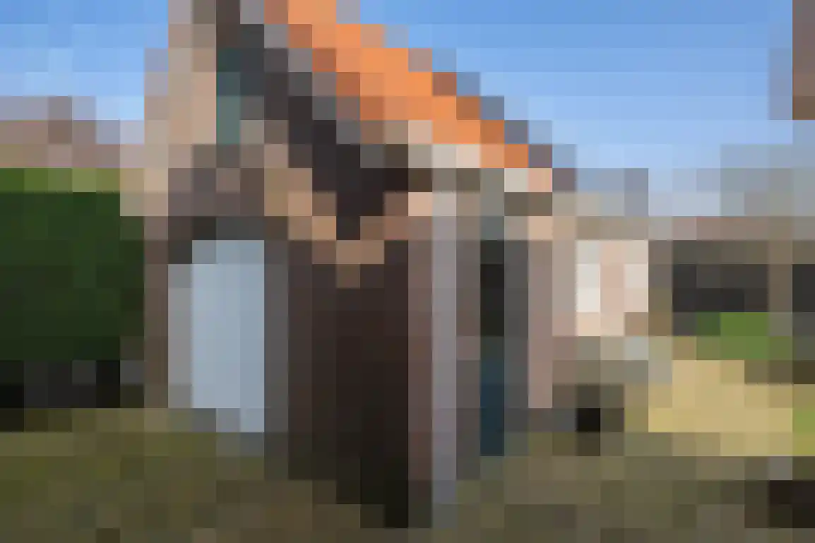 Nieuweweg 19 Melissant thumbnail 40
